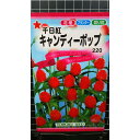 千日紅 キャンディポップ センニチコウ 種 種子 トーホク
