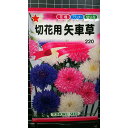 矢車草 混合 切花用 ヤグルマソウ 種 種子 トーホク