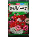 切花用 バーベナ 種 種子 トーホク
