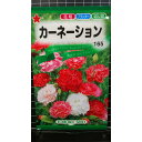 カーネーション 種 種子 トーホク