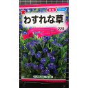 わすれな草 ワスレナクサ 種 種子 トーホク