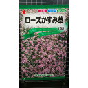 ローズ かすみ草 カスミソウ 種 種子 トーホク