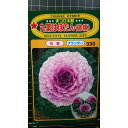 丸葉 はぼたん 赤桃 まつり太鼓 葉牡丹 種 種子 トーホク