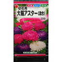 大輪 アスター 切花用 混合 種 種子 トーホク