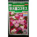 秋 大輪 コスモス 秋桜 オータムビューティ 種 種子 サカタのタネ