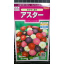 アスター あずみ 混合 ポンポン 種 種子 サカタのタネ