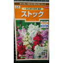 ストック 一本立 切り花用 種 種子 サカタのタネ