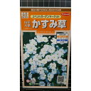 かすみ草 コベントガーデンマーケット 白花 大輪 カスミソウ 種 種子 サカタのタネ