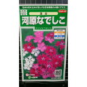河原 なでしこ 撫子 ダイアンサス 種 種子 サカタのタネ