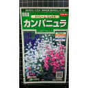 カンパニュラ メジューム ミックス フウリンソウ 種 種子 サカタのタネ