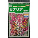 リナリア 高性 姫金魚草 姫 金魚草 種 種子 サカタのタネ