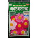 赤花 除虫菊 ロビンソン 種 種子 サカタのタネ