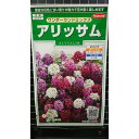 アリッサム ワンダーランド 種 種子 サカタのタネ