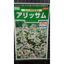 アリッサム スノークリスタル 種 種子 サカタのタネ
