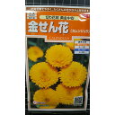 金せん花 黄金 中安 キンセンカ カレンジュラ 種 種子 サカタのタネ
