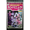 カンパニュラ メイ ミックス 種 種子 サカタのタネ