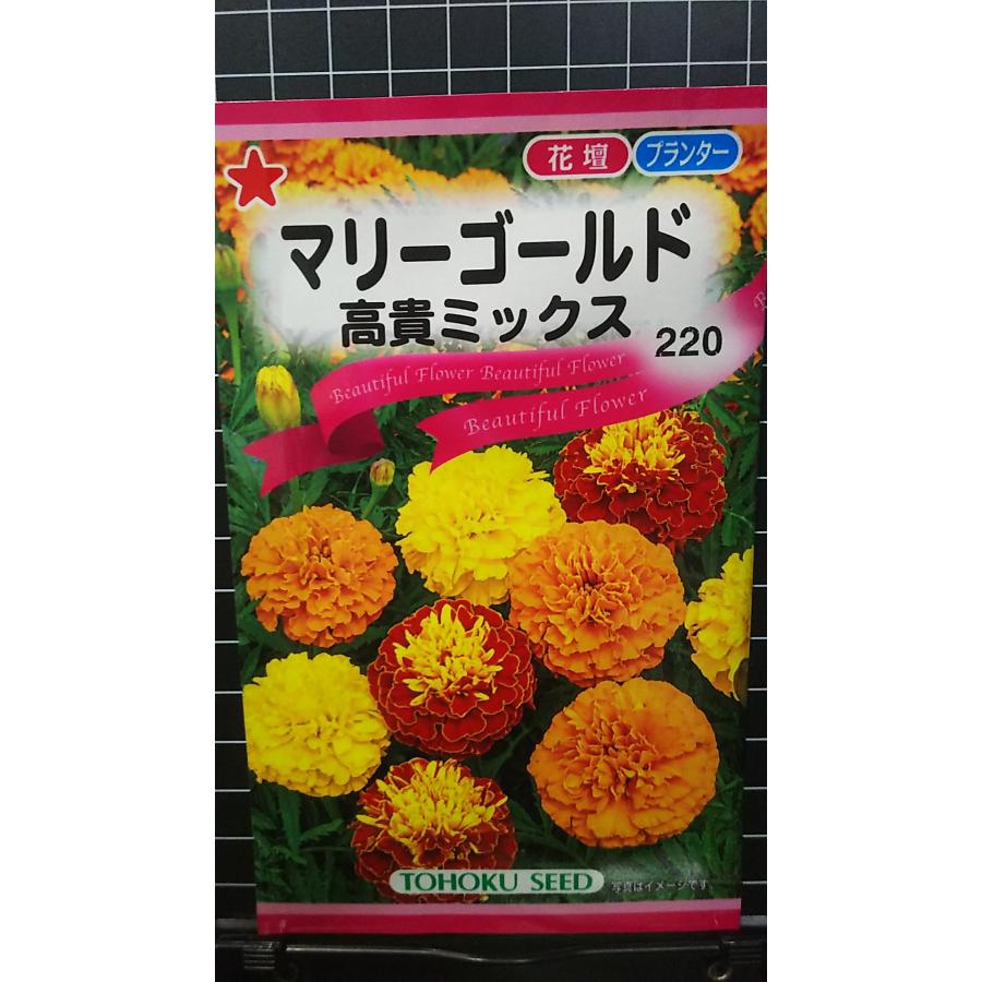 マリーゴールド 高貴 ミックス 種 種子 トーホク