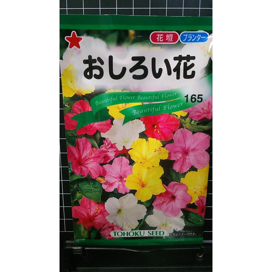 おしろい花 オシロイバナ 種 種子 トーホク