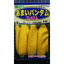 あまい バンタム プレミアム トウモロコシ 種 種子 トーホク