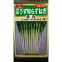 ぼうず 知らず ねぎ 関白 一本太葱 種 種子 トーホク