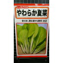 やわらか 夏菜 山東菜 種 種子 トーホク