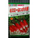 キスミー はつか ミニ 20日 大根 種 種子 トーホク