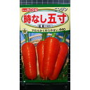時なし 五寸 ニンジン 紅彩 5寸 人参 種 種 種子 トーホク