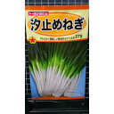 汐止め しおどめ ねぎ ネギ 葱 種 種 種子 トーホク