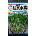 太茎 千筋 京水菜 みずな 水菜 種 種 種子 トーホク