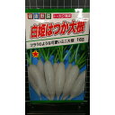 白姫はつか ミニ20日 大根 種 種子 トーホク