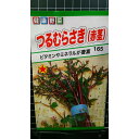 つるむらさき 赤茎 種 種 種子 トーホク