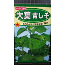 大葉 青 しそ アオシソ 種 種子 トーホク