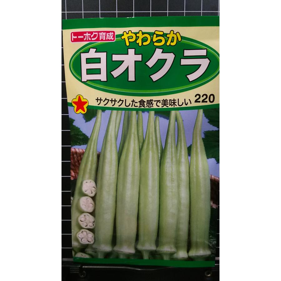 白 オクラ やわらか 種 種 種子 トーホクのサムネイル