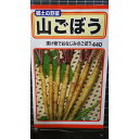 山ごぼう やま 牛蒡 種 種 種子 トーホク