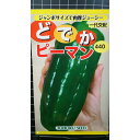 どでか ピーマン ジャンボ 種 種 種子 トーホク