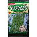 うまい 大 ひらさや いんげん つるあり 種 種子 トーホク