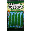つるあり やわらか ロマノ インゲン 種 種子 トーホク