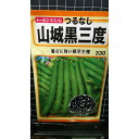 つるなし いんげん 山城 黒 三度 極早生 インゲン 種 種子 トーホク