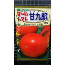 トマト 甘九朗 甘~い 大玉 種 種子 トーホク