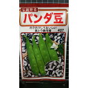 パンダ豆 パンダマメ 種 種子 トーホク