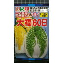大福 60 日 白菜 ハクサイ 種 種子 トーホク