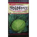 やわらか キャベツ コールサワー 種 種 種子 トーホク