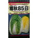 郷秋 白菜 85日 ハクサイ 種 種 種子 トーホク