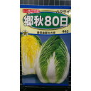 郷秋 白菜 80日 ハクサイ 種 種 種子 トーホク