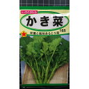 かき菜 とう菜 かきな トウサイ 種 種子 トーホク