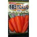 冬越 五寸 にんじん 冬王 人参 種 種子 トーホク