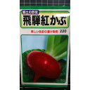 飛騨 紅 かぶ 紅カブ 種 種子 トーホク