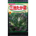 三池 たか菜 たかな 高菜 種 種子 トーホク