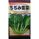ちぢみ 雪菜 種 種 種子 トーホク