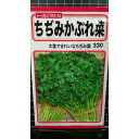 ちぢみ かぶれ菜 種 種 種子 トーホク
